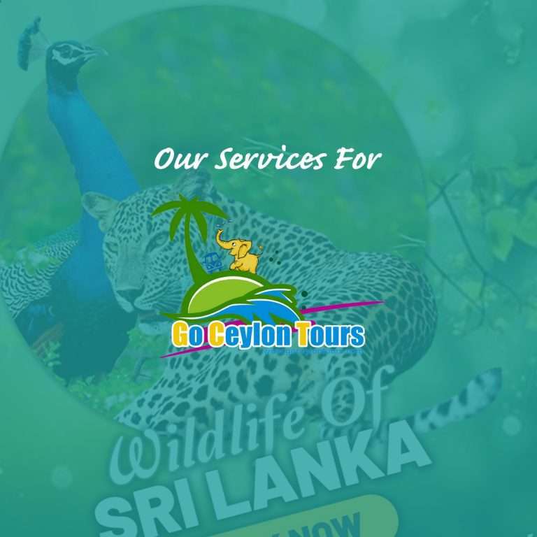 GoCeylon Tours